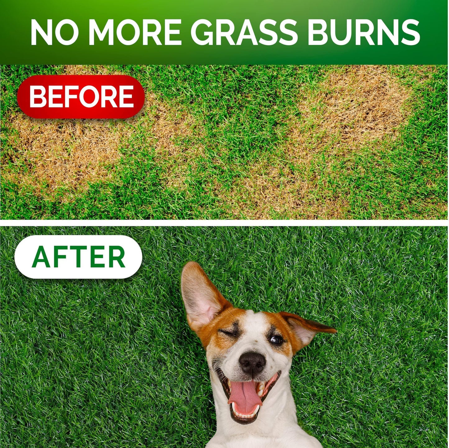 Grass Burn Spot Chews for Dogs   Dog Urine Neutralizer for Lawn   120 Grass Green Dog Chews   Grass Savers for Dog Urine   Dog Pee Grass Neutralizer with Probiotics   Digestive Enzymes   Made in USA