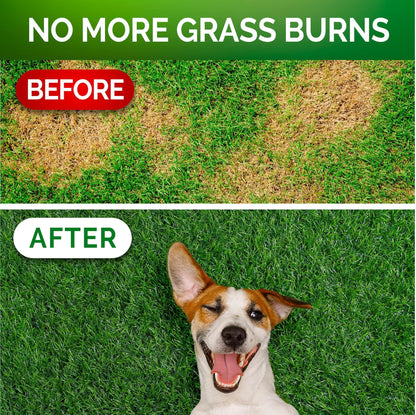 Grass Burn Spot Chews for Dogs   Dog Urine Neutralizer for Lawn   120 Grass Green Dog Chews   Grass Savers for Dog Urine   Dog Pee Grass Neutralizer with Probiotics   Digestive Enzymes   Made in USA