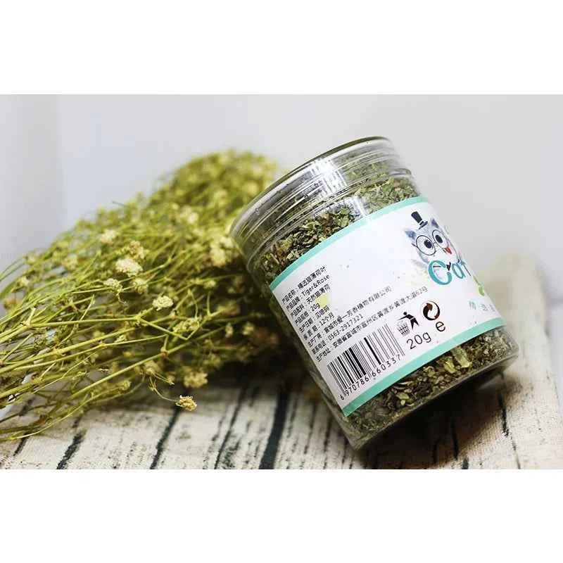  100% Organic Natural High Quality Catnip Grass Mint Flavor Interactive Cat Toy Funny Pet Supplies - Needora