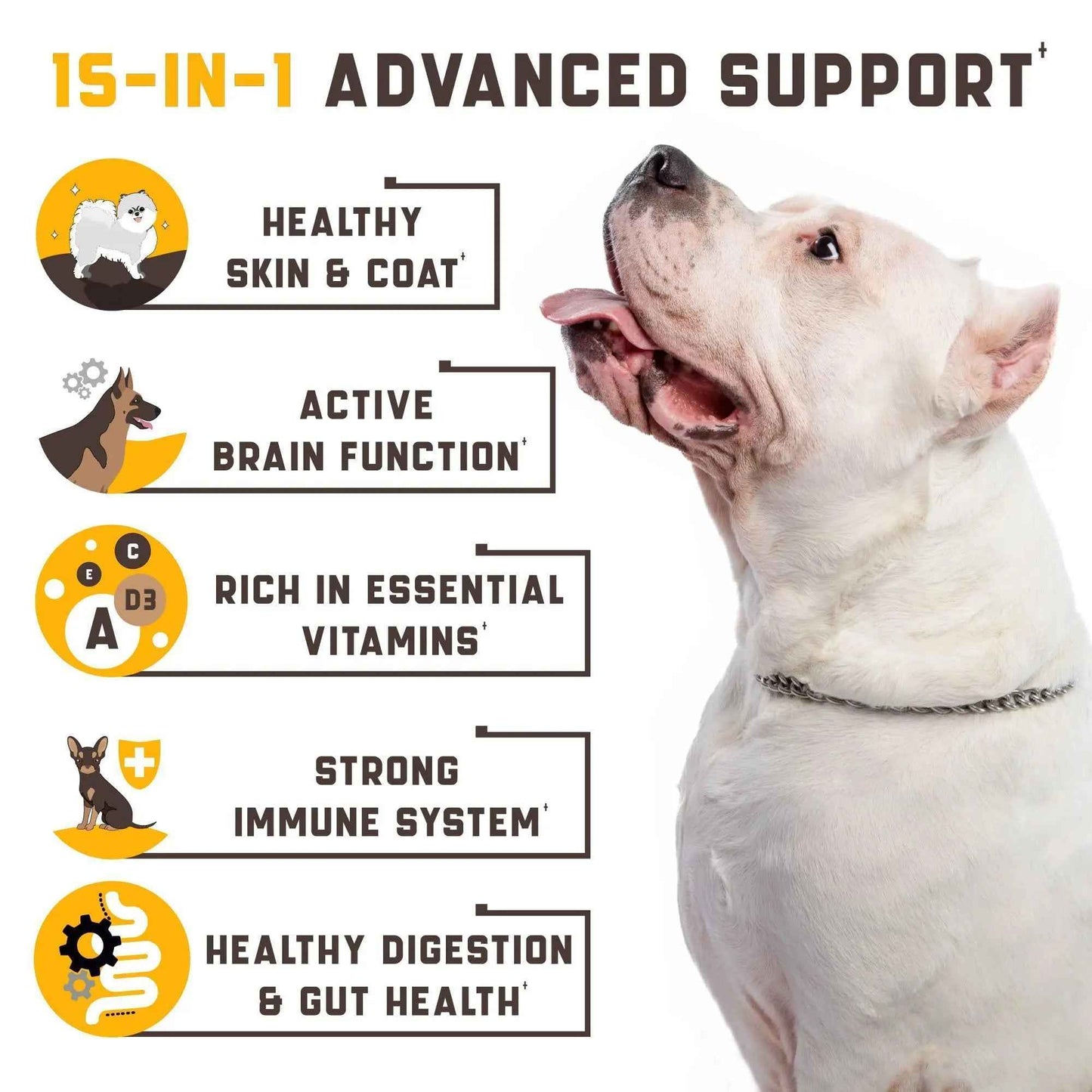 20in1 Dog Multivitamin Supplements  Immunity, Digestion, Joint and Heart Health Support  Natural Dog Vitamins with Biotin, Msm, Cranberry, Glucosamine for Dogs  180 Chews