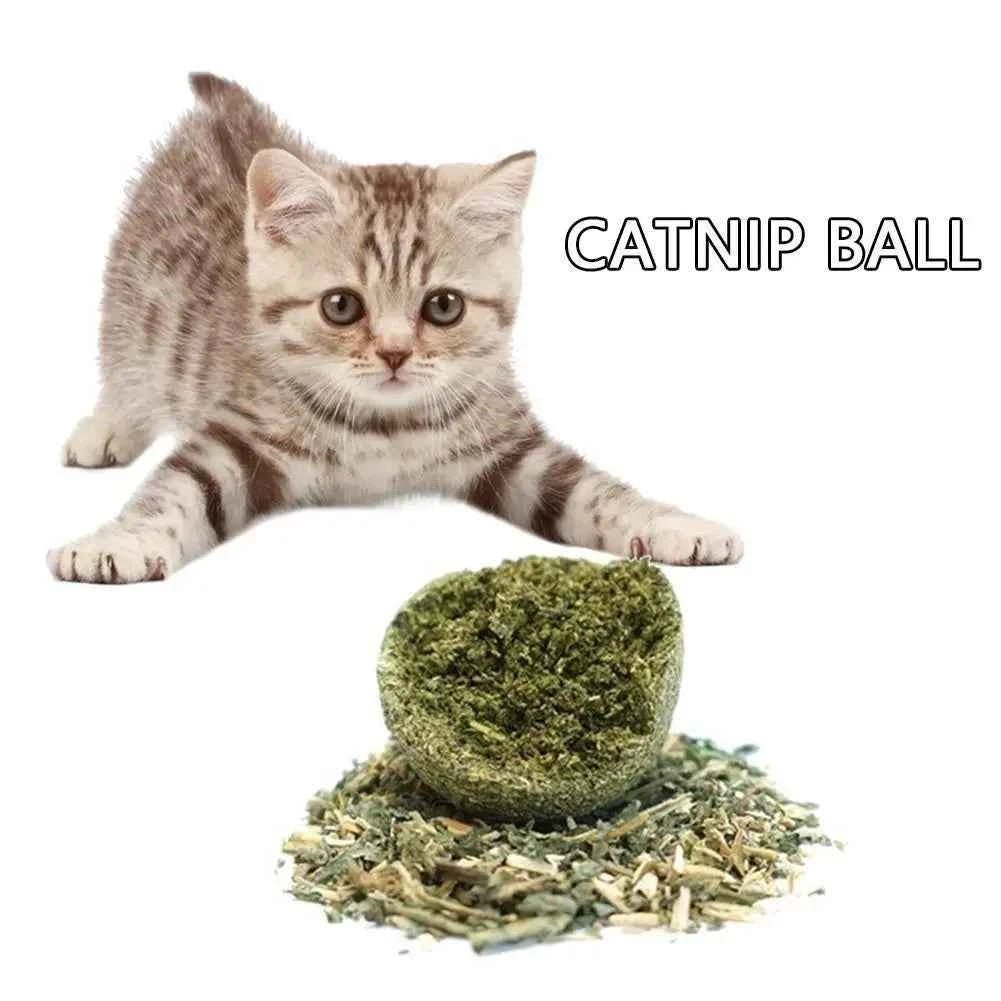 1~5PCS Natural Catnip Cat Wall Stick-on Ball Toys Treats Healthy Natural Removes Hair Balls To Promote Digestion Cat Grass Snack - Needora