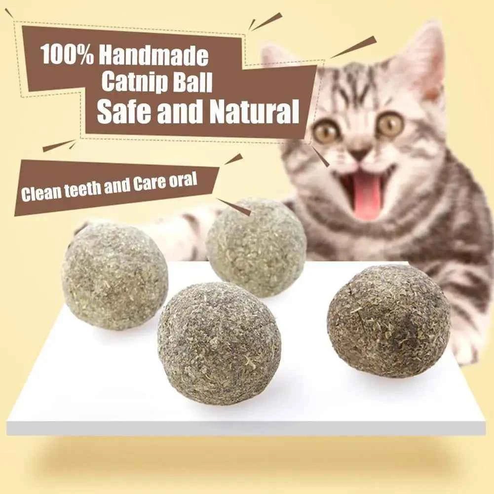 1~5PCS Natural Catnip Cat Wall Stick-on Ball Toys Treats Healthy Natural Removes Hair Balls To Promote Digestion Cat Grass Snack - Needora