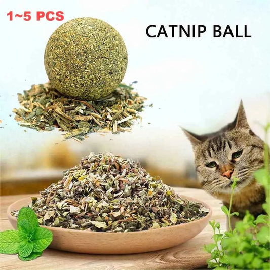 1~5PCS Natural Catnip Cat Wall Stick-on Ball Toys Treats Healthy Natural Removes Hair Balls To Promote Digestion Cat Grass Snack - Needora