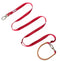 Red-Leash