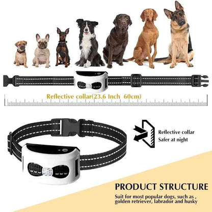 2 IN 1 Wireless Electronic Dog Fence System & Remote Training Collar Beep Shock Vibration and Pet Containment For All Size Puppy - Needora