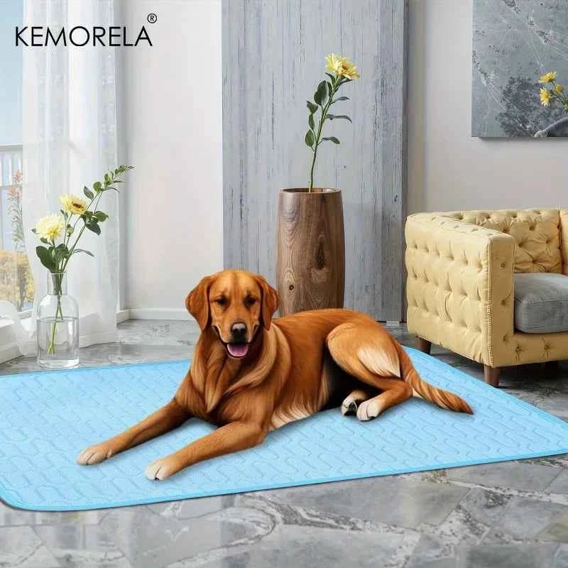 2025 Upgraded Ice-Cool Summer Pet Cooling Mat and Bed Sweat-Absorbent Fabric Available in 4 Sizes for Small Medium and Large Pet - Needora
