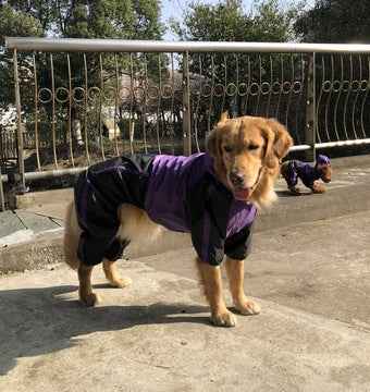 Large Dog Waterproof Raincoat – Lightweight Outdoor Protection
