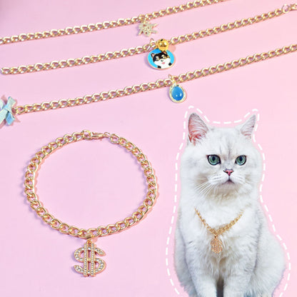 Pet cats belong to pendants