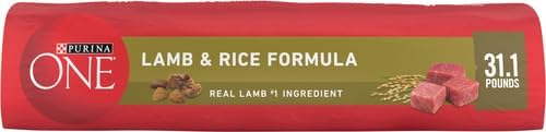 Purina ONE Lamb & Rice Formula Dry Dog Food for Digestive Support