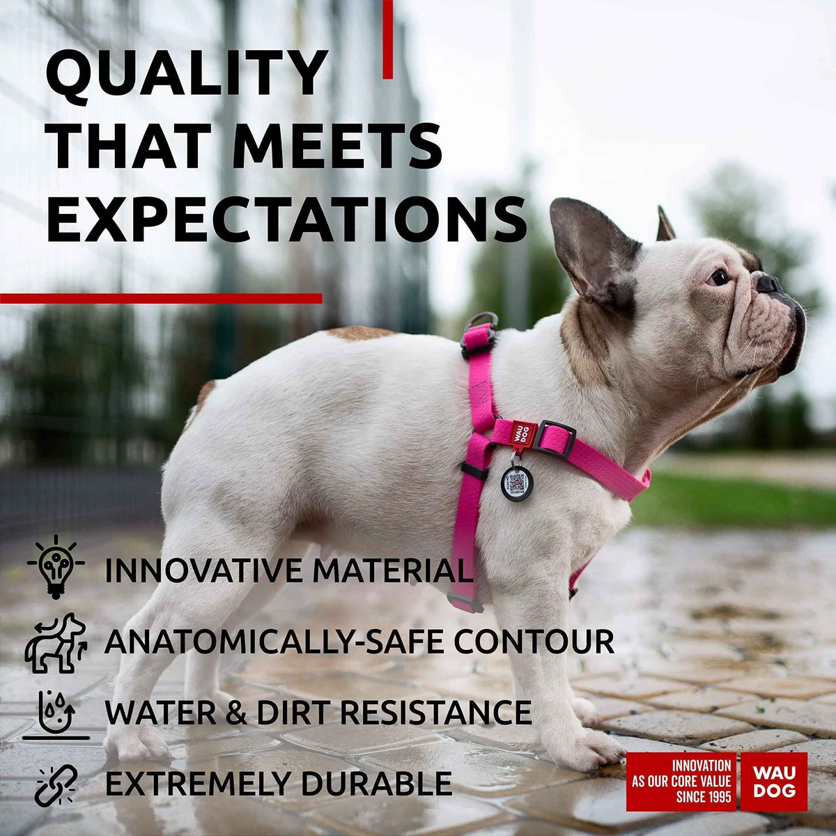 Waterproof Dog Harness   Adjustable Dog Harness for Large Dogs Small and Medium Dogs   Heavy Duty Dog Harness with Durable Metal Clasp and QR Dog Tag   Boy & Girl Dog Harness   Pink (20 32in)