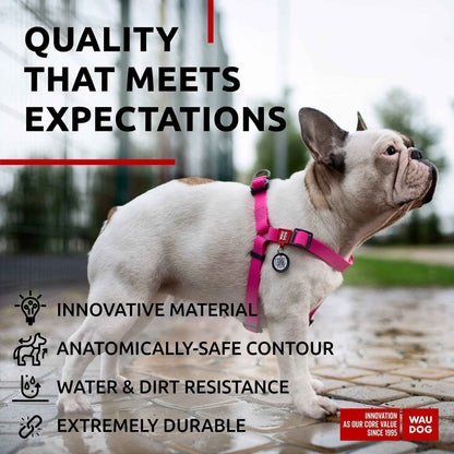 Waterproof Dog Harness   Adjustable Dog Harness for Large Dogs Small and Medium Dogs   Heavy Duty Dog Harness with Durable Metal Clasp and QR Dog Tag   Boy & Girl Dog Harness   Pink (20 32in)