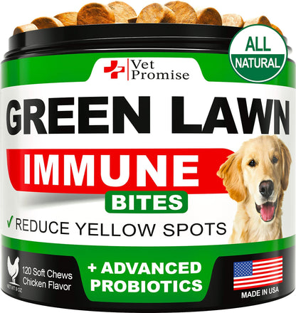 Grass Burn Spot Chews for Dogs   Dog Urine Neutralizer for Lawn   120 Grass Green Dog Chews   Grass Savers for Dog Urine   Dog Pee Grass Neutralizer with Probiotics   Digestive Enzymes   Made in USA