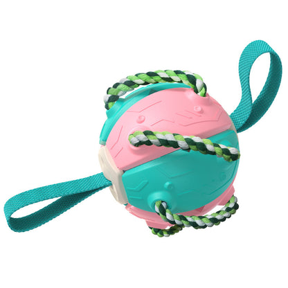 Pet Supplies Throwing Frisbee Outdoor Training Interactive Frisbee Football Dog Toy