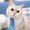 Light Blue Stripes