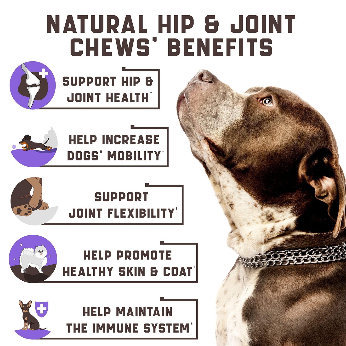 Hemp Joint Supplement for Dogs  Dog Joint Supplement with Glucosamine, Chondroitin, MSM  Supports Hip and Joint Heath, Better Mobility, Skin and Coat  for All Breeds and Ages  180 Dog Chews, Duck