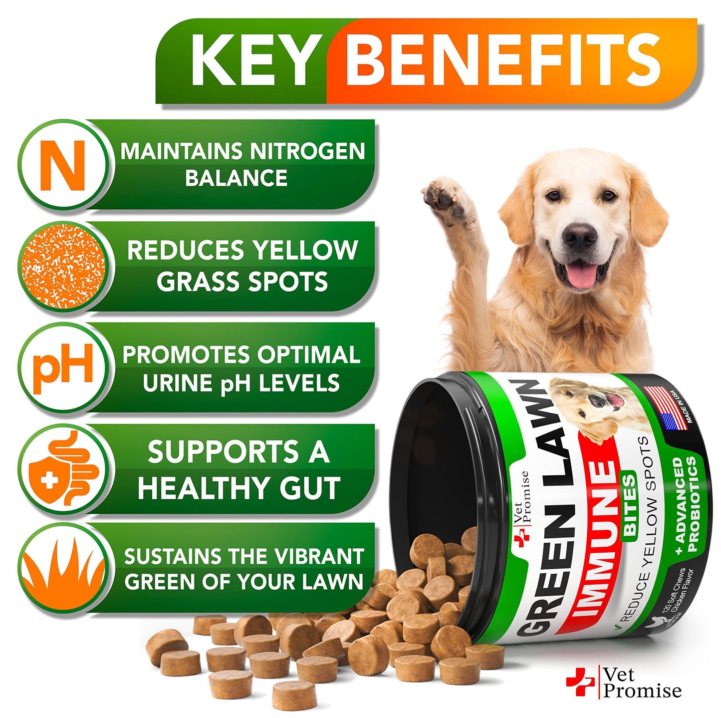 Grass Burn Spot Chews for Dogs   Dog Urine Neutralizer for Lawn   120 Grass Green Dog Chews   Grass Savers for Dog Urine   Dog Pee Grass Neutralizer with Probiotics   Digestive Enzymes   Made in USA
