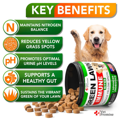Grass Burn Spot Chews for Dogs   Dog Urine Neutralizer for Lawn   120 Grass Green Dog Chews   Grass Savers for Dog Urine   Dog Pee Grass Neutralizer with Probiotics   Digestive Enzymes   Made in USA