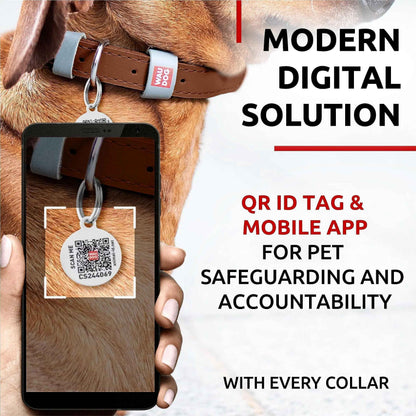 WAUDOG Long Lasting Leather Dog Collar for Large Dogs Medium & Small Dogs   Adjustable Classic Puppy Collars for Large Breed Dogs   Boy & Girl Dog Collars with Durable Buckle D Ring & QR Dog Tag