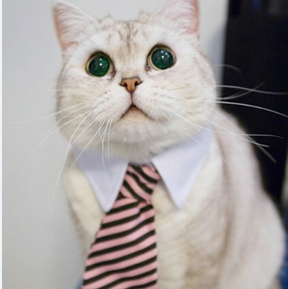Cute Pet Ties, Dog Collar Cat Collar, Pet Bow Ties, Dog Tie, Smart Looking Pet Costume