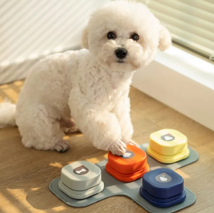 Interactive Pet Communication Button – Recordable Training & Talking Button for Dogs & Cats