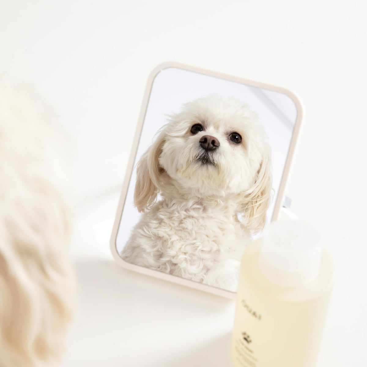 OUAI Fur Bébé Pet Shampoo, Mercer Street Scent – 16 fl oz