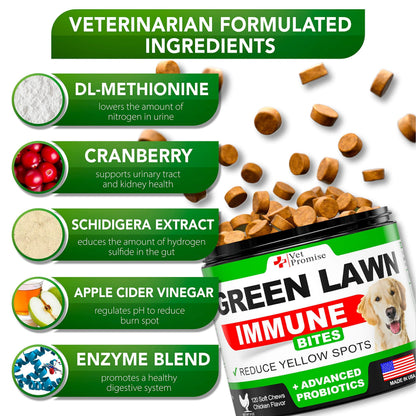Grass Burn Spot Chews for Dogs   Dog Urine Neutralizer for Lawn   120 Grass Green Dog Chews   Grass Savers for Dog Urine   Dog Pee Grass Neutralizer with Probiotics   Digestive Enzymes   Made in USA