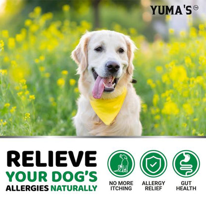 Hemp Calming Chews for Dogs – front angle view