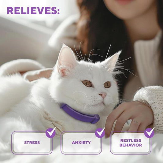 Cat Calming Collar & Pet Anti Anxiety Products Feline Calm Pheromones