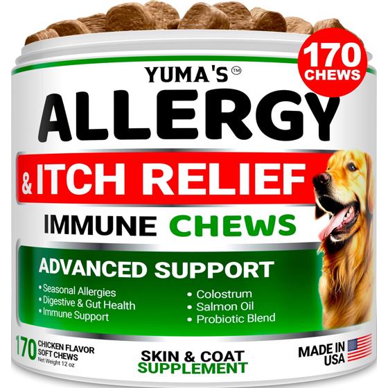 Hemp Calming Chews for Dogs – in-use lifestyle view