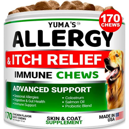 Hemp Calming Chews for Dogs – in-use lifestyle view
