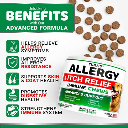 Hemp Calming Chews for Dogs – close-up detail view