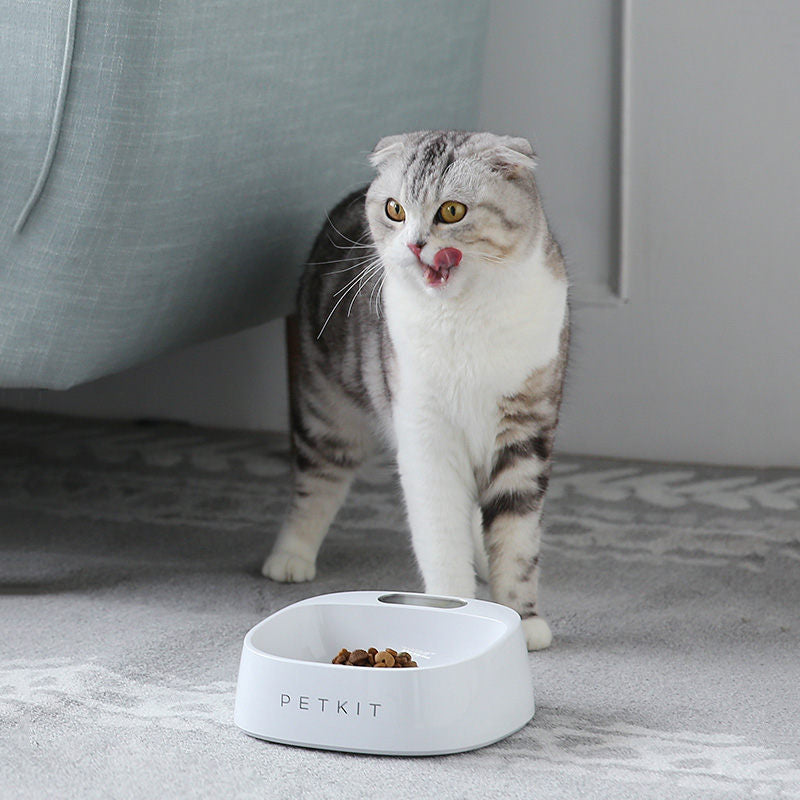 PETKIT Pet smartbowl Dog food bowl digital feeding bowl stand Smart Weighing Large dog slow feeder drinking bowls comedero
