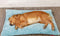 Autumn/Winter PP cotton thick sleeping mat - removable and washable