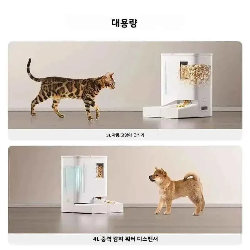 5L Smart Automatic Pet Feeder & 4L Water Fountain with HD Camera, Wi-Fi App Control & Voice Recording - Needora