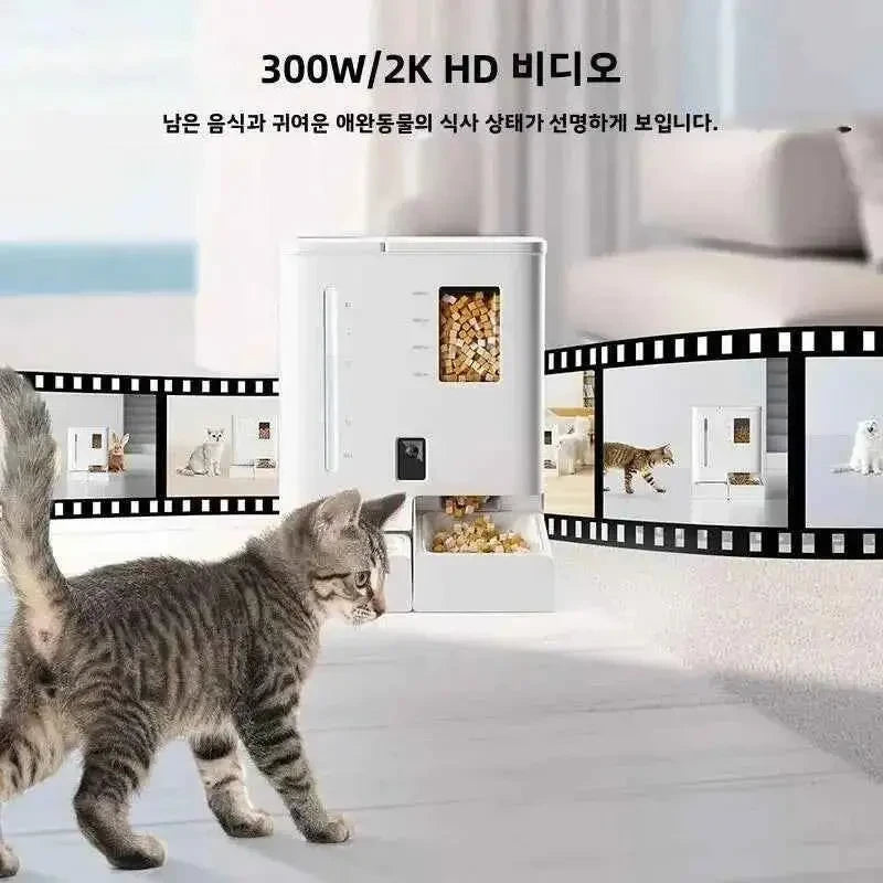 5L Smart Automatic Pet Feeder & 4L Water Fountain with HD Camera, Wi-Fi App Control & Voice Recording - Needora