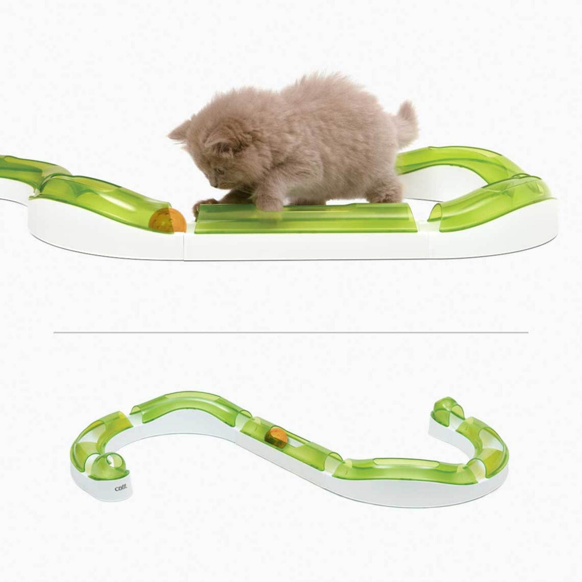 Cat batting the ball in a Catit Senses 2.0 circuit track