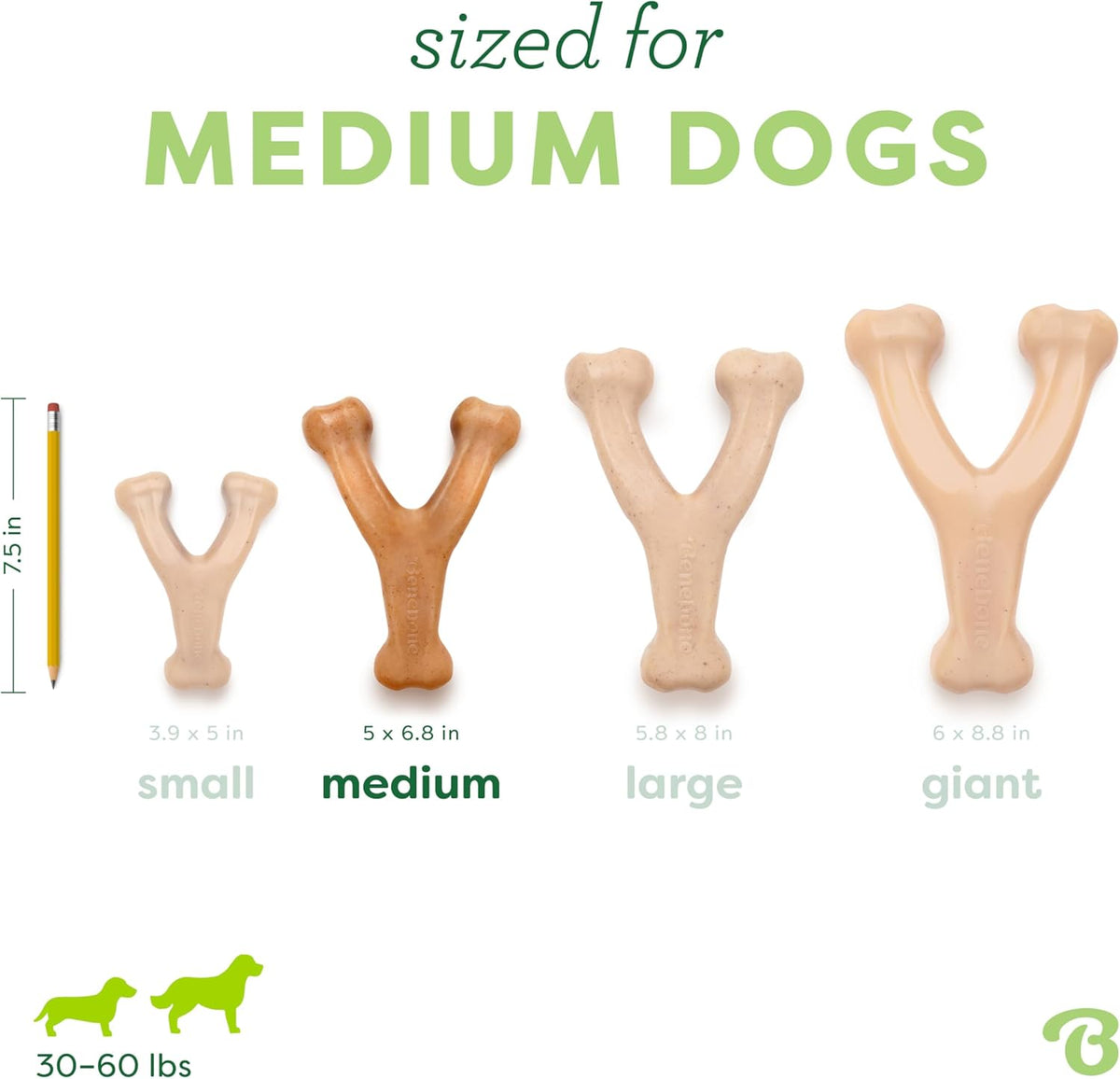 Benebone Wishbone dog chew - curved wishbone shape for an easy paw grip