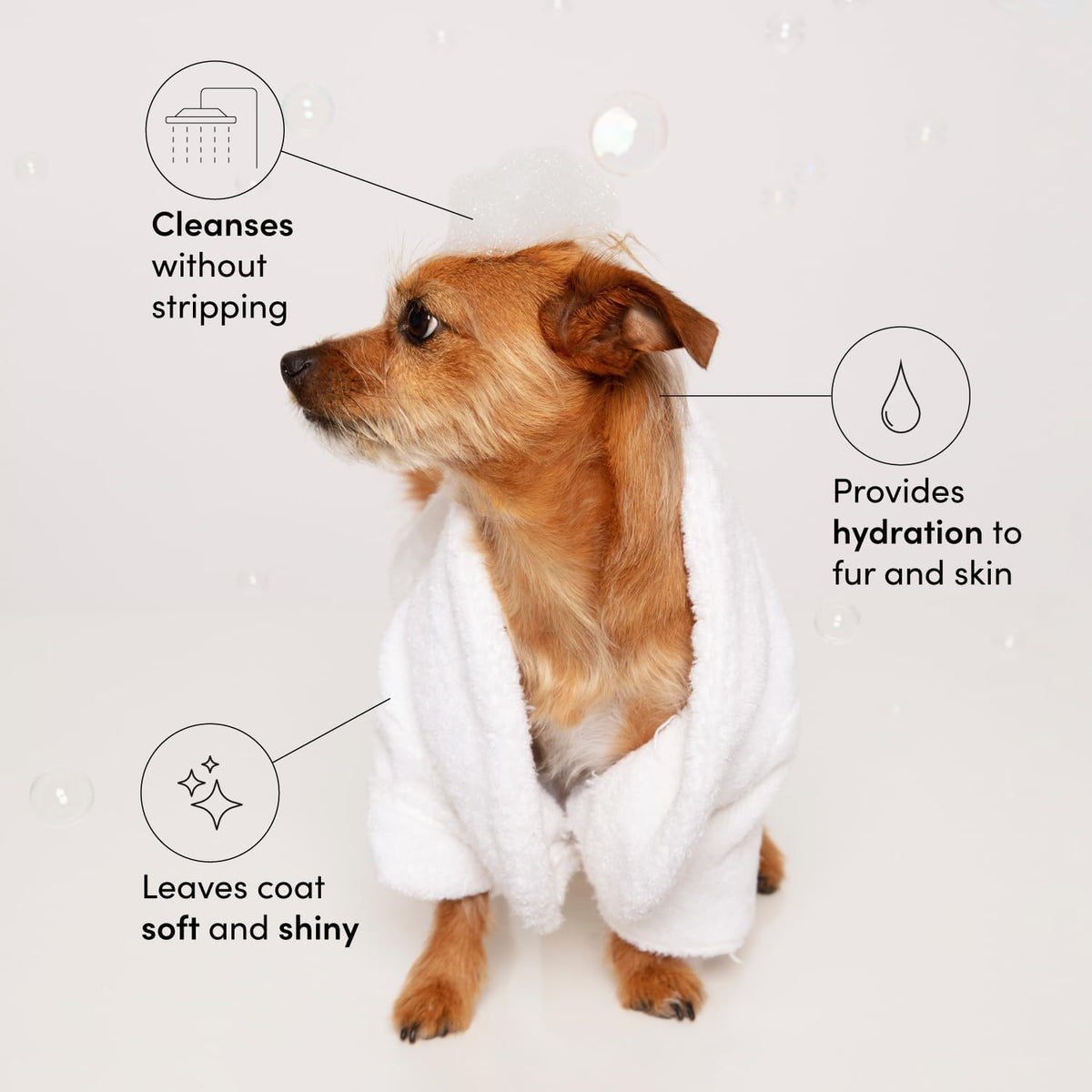 OUAI Fur Bébé Pet Shampoo, Mercer Street Scent – 16 fl oz