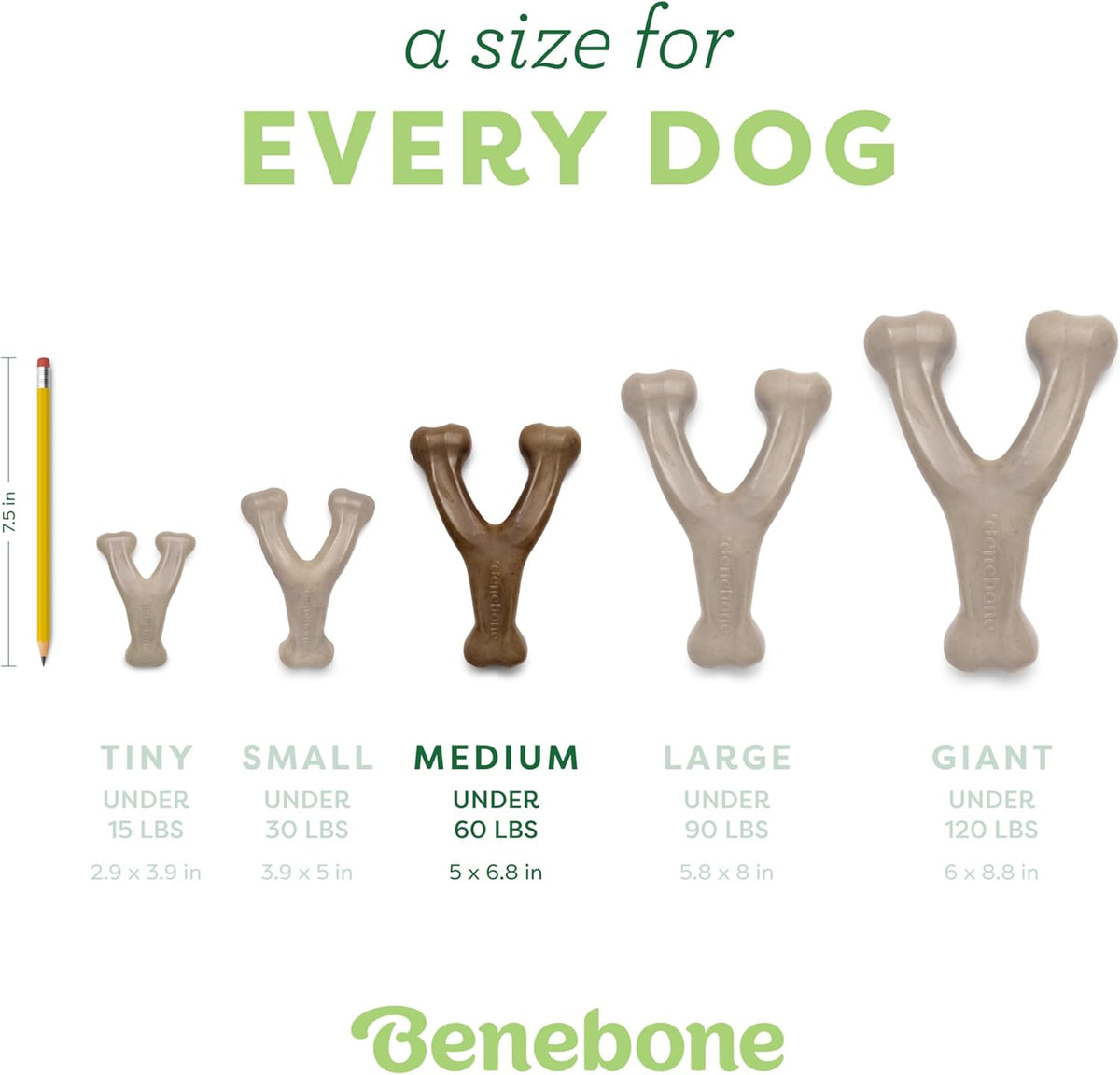 Benebone Wishbone dog chew - curved wishbone shape for an easy paw grip