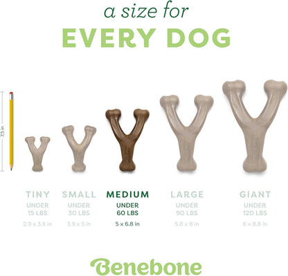 Benebone Wishbone dog chew - curved wishbone shape for an easy paw grip