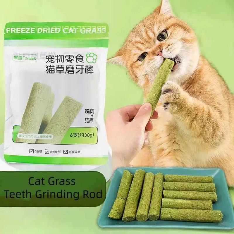 6/18Pcs Cat Grass Teething Sticks Chew Toy Gentle Healthy Hairball Removal Cat Grass Stick Pet Snacks Teeth Grinding Stick - Needora