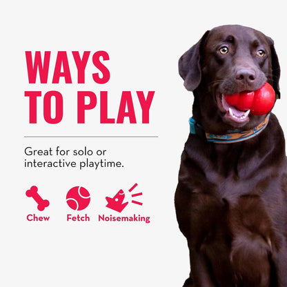 KONG Wubba dog toy for tug of war and fetch, large