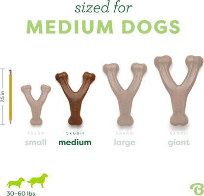 Benebone Wishbone dog chew - curved wishbone shape for an easy paw grip
