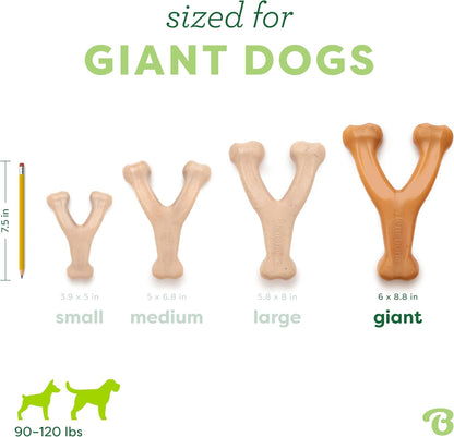 Benebone Wishbone dog chew - curved wishbone shape for an easy paw grip