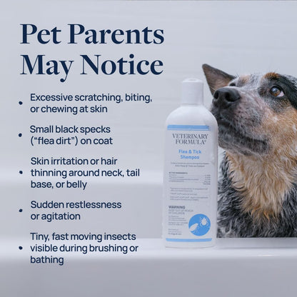 Veterinary Formula Flea & Tick Shampoo for Dogs and Cats, 16 oz