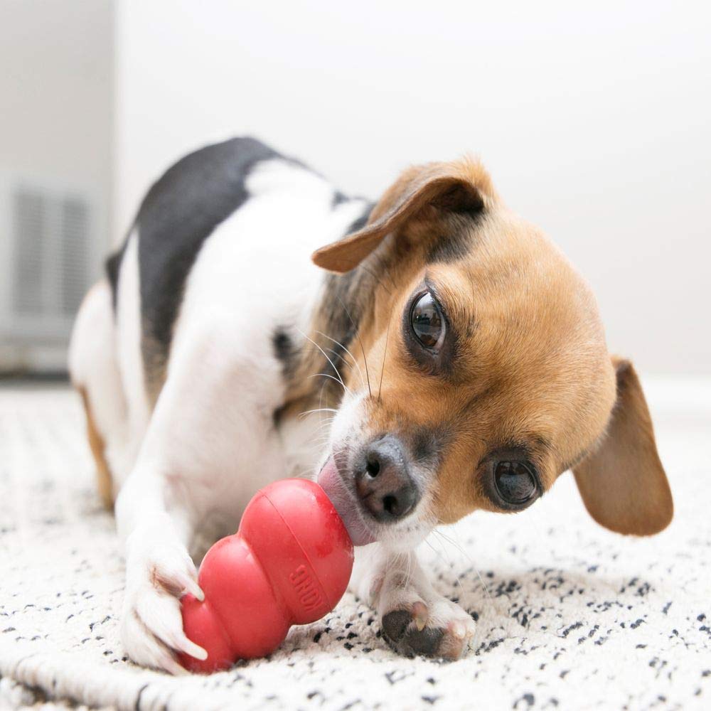 KONG Classic Large Stuffable Natural Rubber Dog Chew Toy