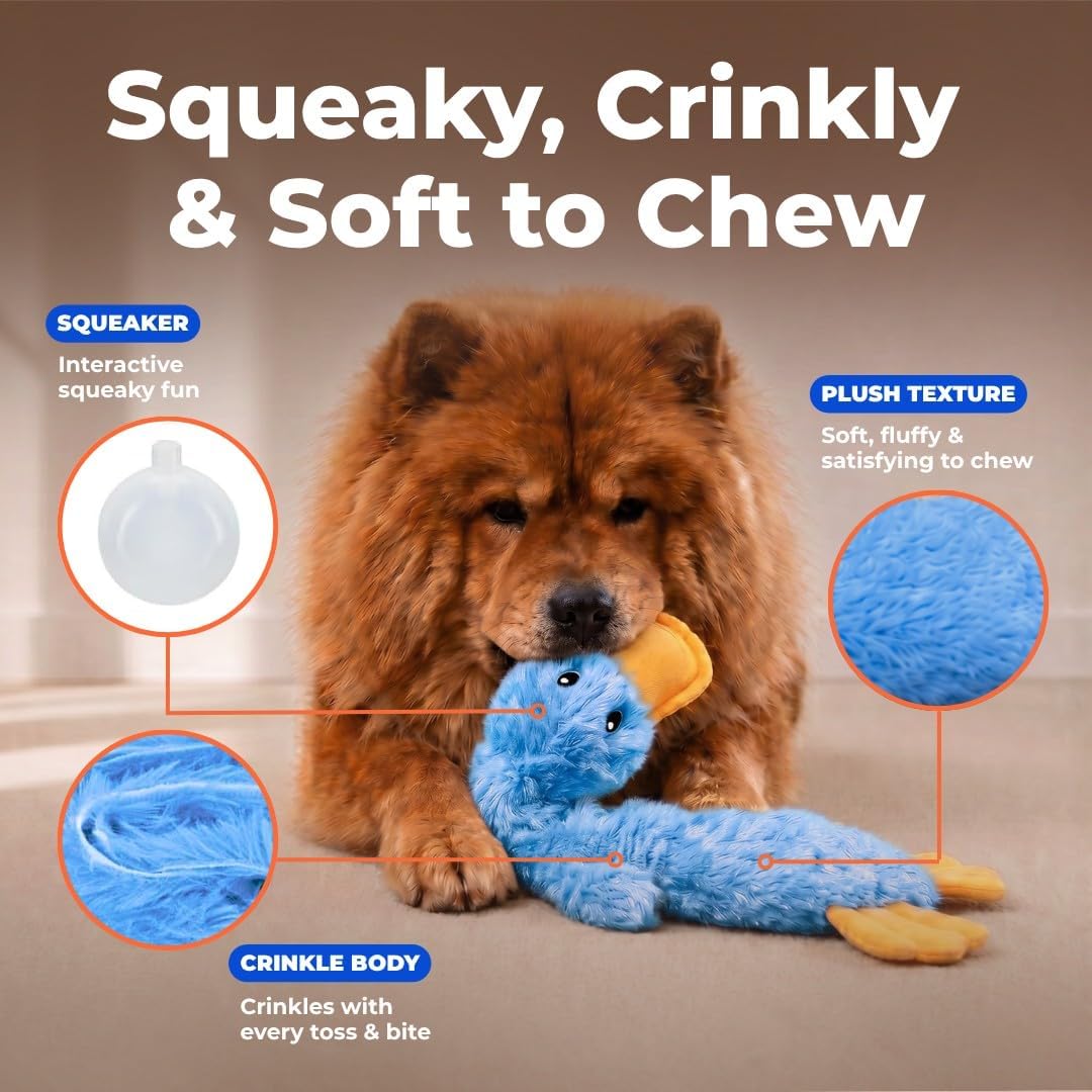 Best Pet Supplies Crinkle Duck Dog Toy – Blue, No Stuffing