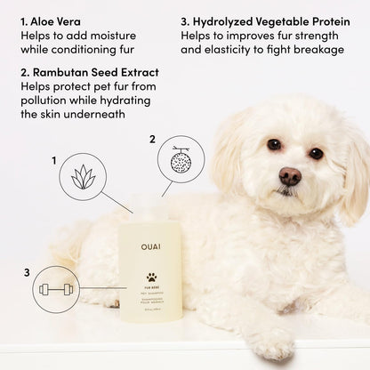 OUAI Fur Bébé Pet Shampoo, Mercer Street Scent – 16 fl oz