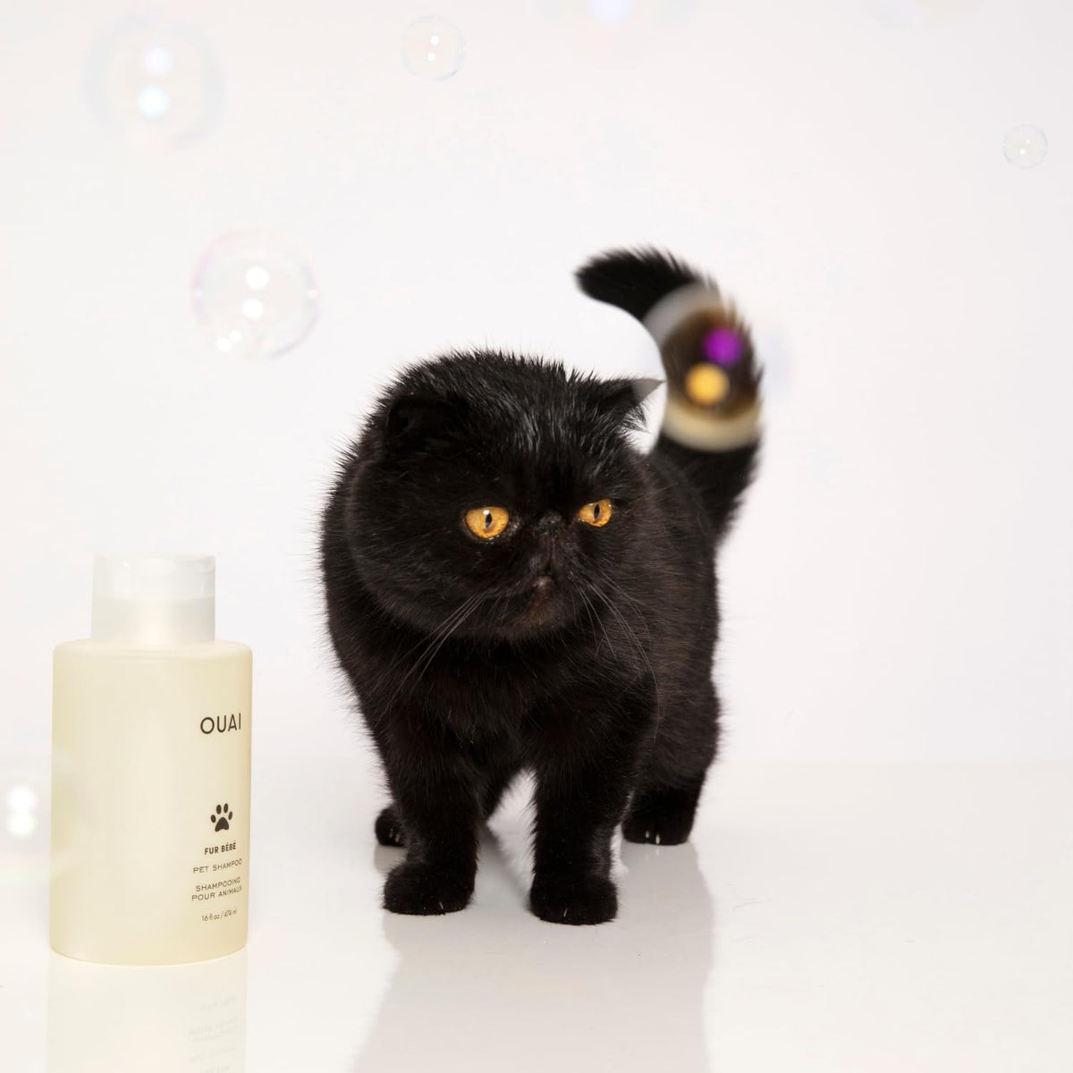 OUAI Fur Bébé Pet Shampoo, Mercer Street Scent – 16 fl oz