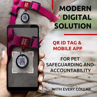 Waterproof Dog Harness   Adjustable Dog Harness for Large Dogs Small and Medium Dogs   Heavy Duty Dog Harness with Durable Metal Clasp and QR Dog Tag   Boy & Girl Dog Harness   Pink (20 32in)
